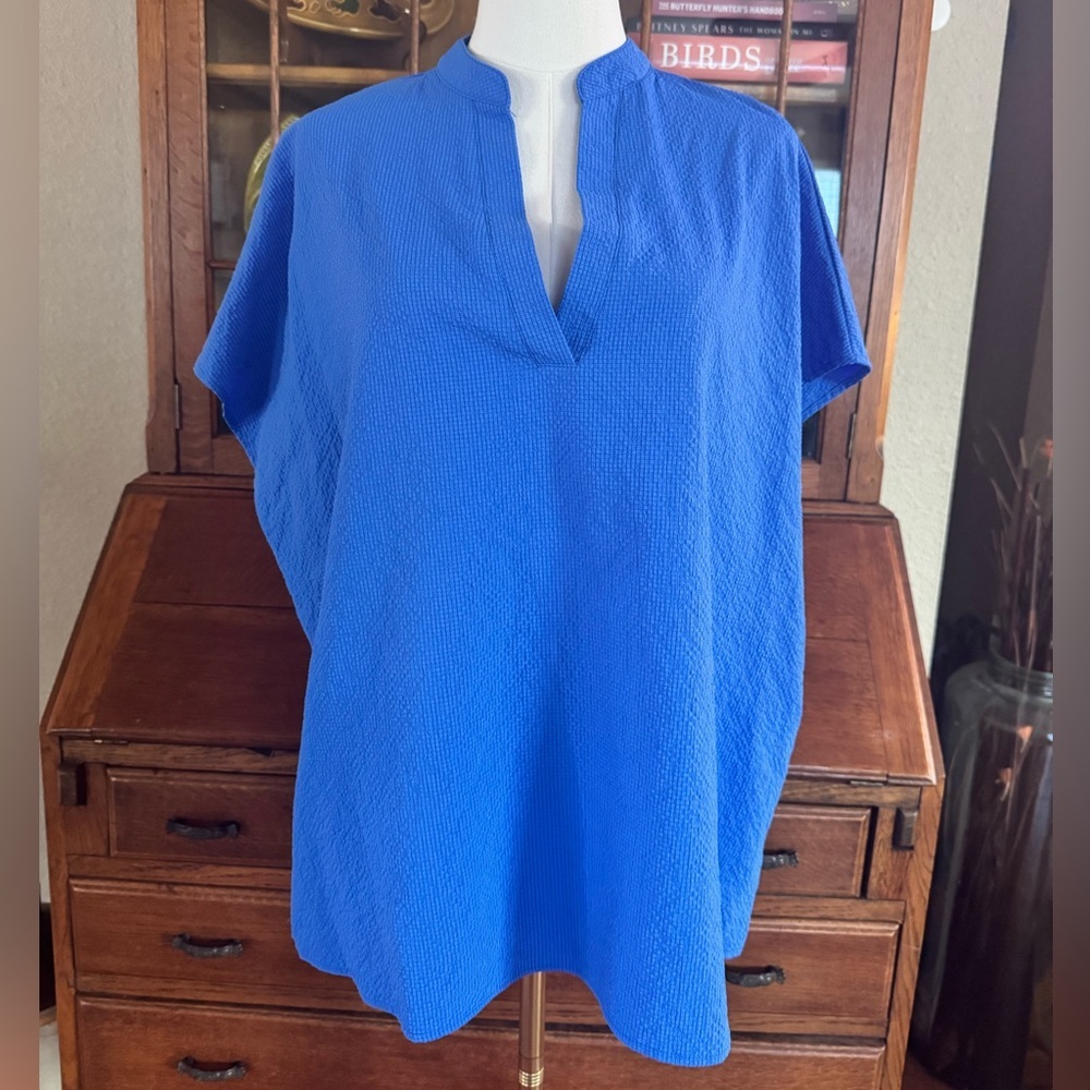 Blue Women's V-Neck Oversized Blouse